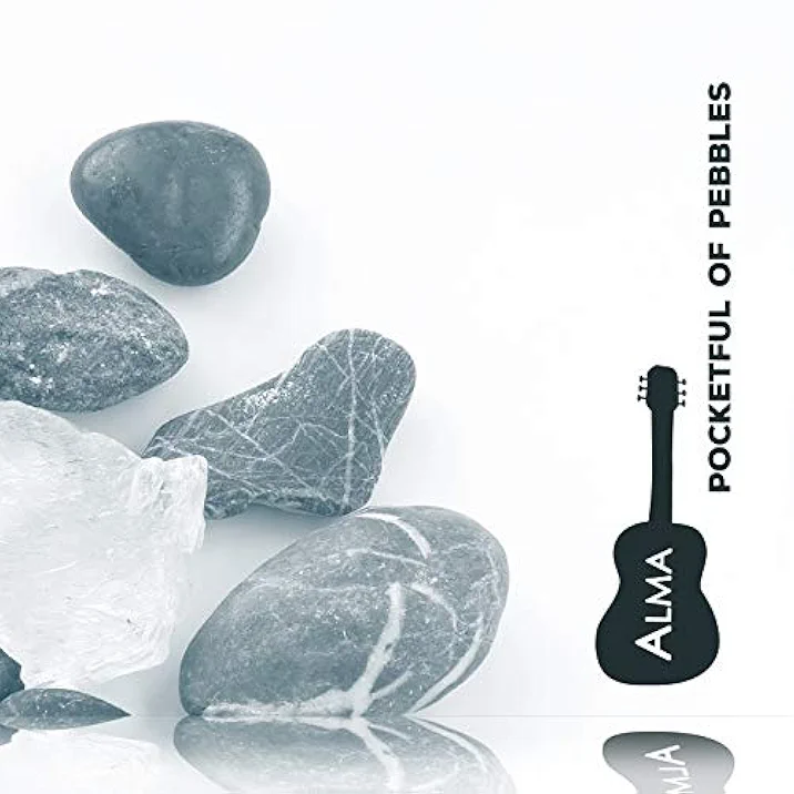pocketful_of_pebbles.webp
